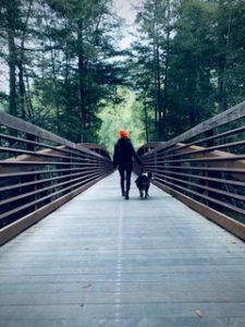 walking on a bridge in the woods during covid