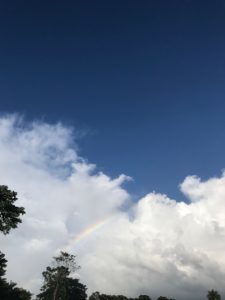 blue sky with shared clouds