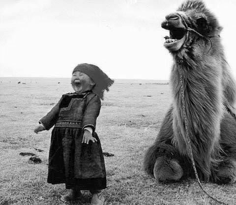 girl and camel laughing