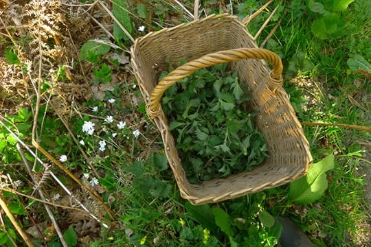 Nettle gathering