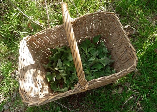 A basket of nettles