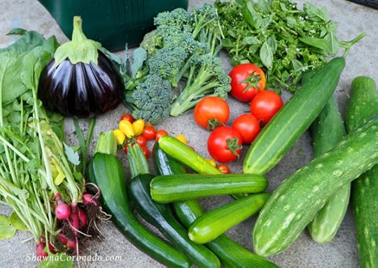 Zucchini and Vegetables copyright Shawna Coronado