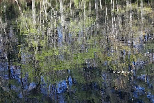 Lake Reflections, Spring, by David B. Coe
