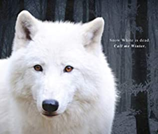 53157837._SX318_SY475_