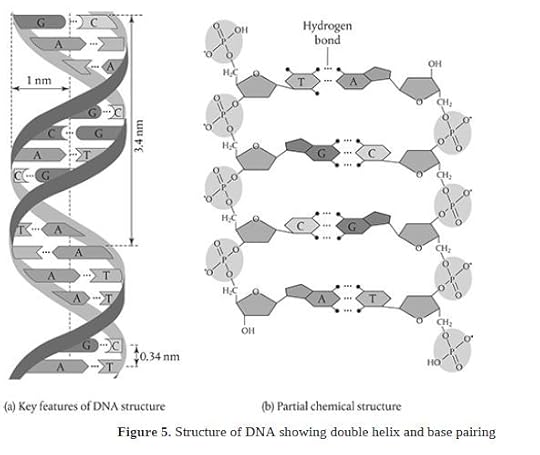 95890176-556038175334172-8322311219826393088-n