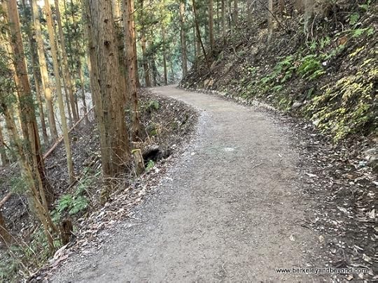 path leading to Jigokudani Yaen-Koen Snow Monkey Park in Nagano, Japan