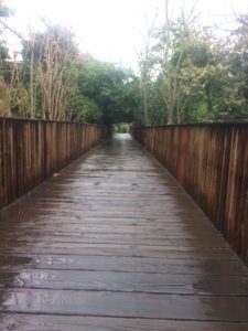 Covid-19 Challenge