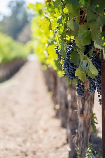 What to Wear to a Winery (Your Ultimate Style Guide for Winery Outfits)