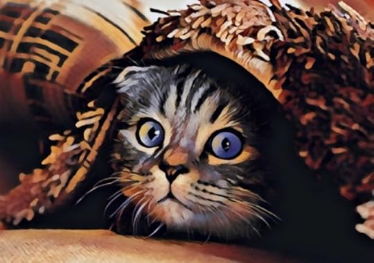 cat-chronic-pain-survey