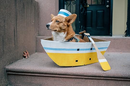 sailor dog