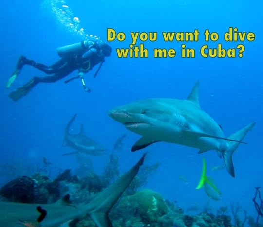 Do you want to dive with me in Cuba?