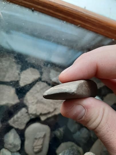 Thomas 'Tank' Baird - surface finds