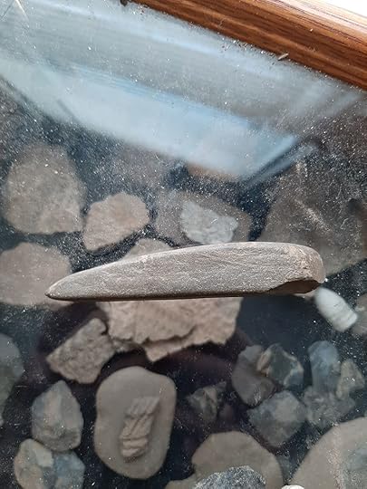 Thomas 'Tank' Baird - surface finds