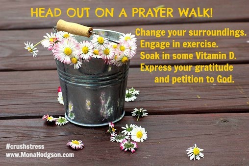 5 Strategies to Help You Crush Stress www.monahodgson.com