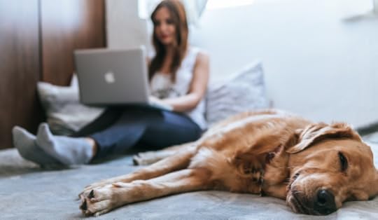 Woman working on laptop at home with dog during COVID-19 social distancing