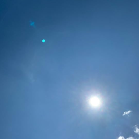 IMG_7345.jpeg