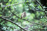 This image has an empty alt attribute; its file name is bardia-hashemirad-hv96opiv_2g-unsplash-e1589281161343.jpg