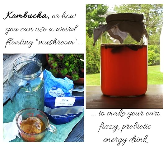 Kombucha supplies pictured along with finish jar of probiotic healthy drink
