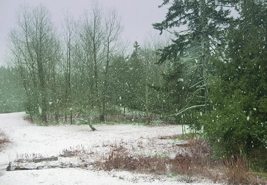 Is It Spring Yet? Living and Writing in New England by Linn Chapel -It's April but it's still snowing in my New England meadow - snowy nature scene