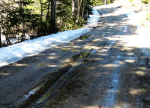 Is It Spring Yet? Living and Writing in New England by Linn Chapel - melting snow just makes mud - photo of muddy lane passing through forest