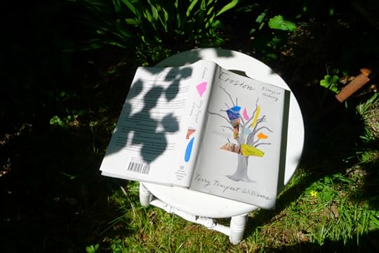 Erosion by Terry Tempest Williams