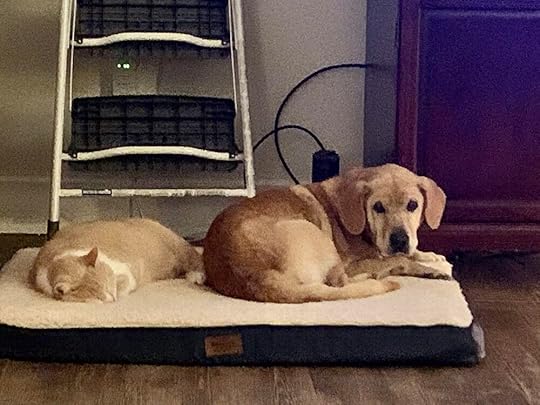 IMG_3217 (Edited).jpg