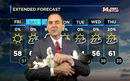 betty-weather-cat