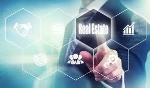 Real estate business