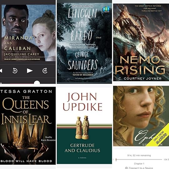Some of the books I’m now speed listening through.