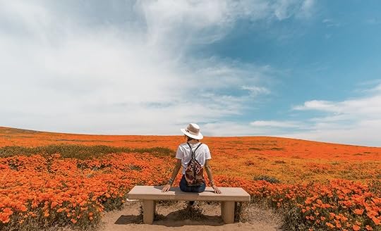 poppies