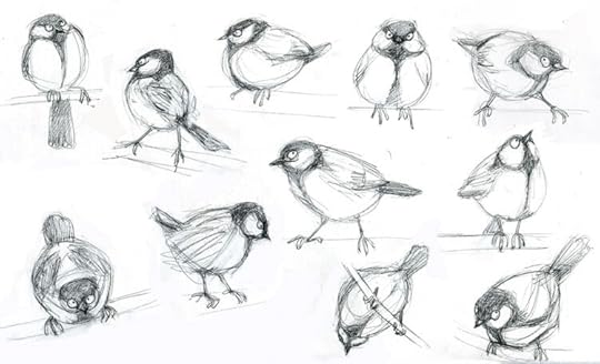 Character studies of a great tit by artist June Steube