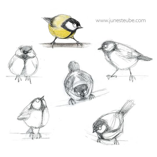 Great Tit sketches by June Steube