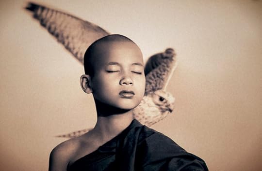 From Ashes and Snow by Gregory Colbert