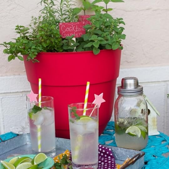 a red planter filled with herbs to grow for a cocktail herb garden on a teal colored cafe table outside with a tray of cocktails