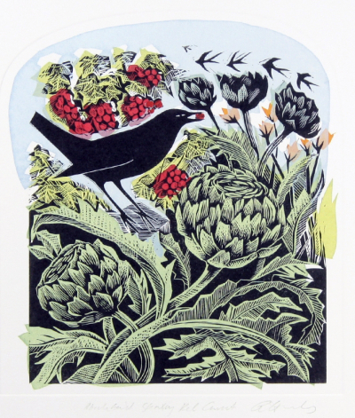 Blackbird Stealing Red Currants by Angela Harding