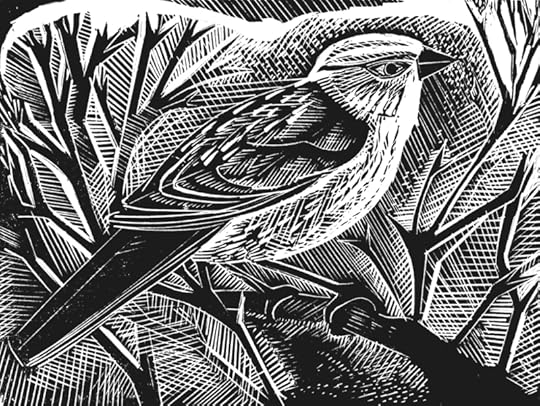 Y is for Yellow Hammer by Angela Harding