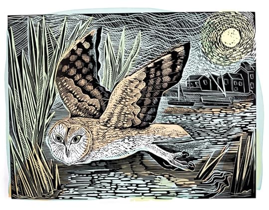 Marsh Owl by Angela Harding