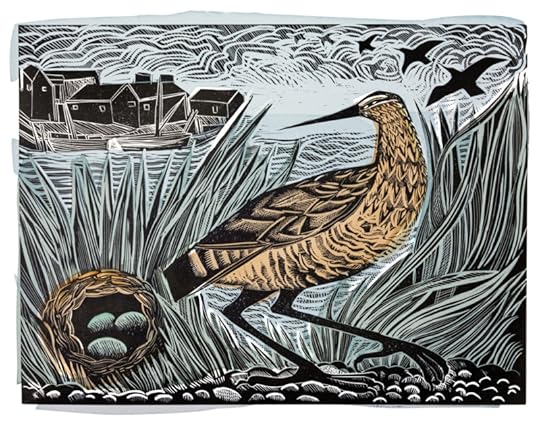 Snape Bird and Nest by Angela Harding