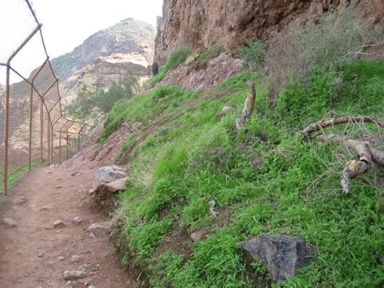 watching and listening