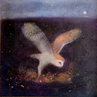 Lightly Through the Darkness by Catherine Hyde