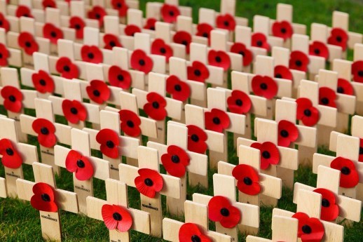 The Poppies of Flanders Fields