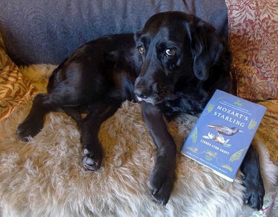 Mozart's Starling by Lyanda Lynn Haupt