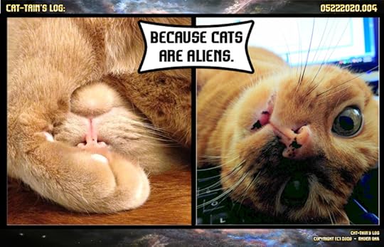 Cat-tain