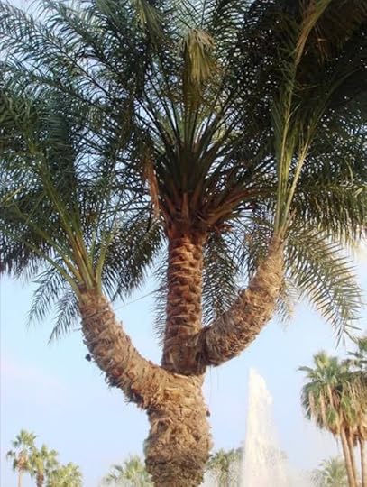 Screenshot-20200524-052150