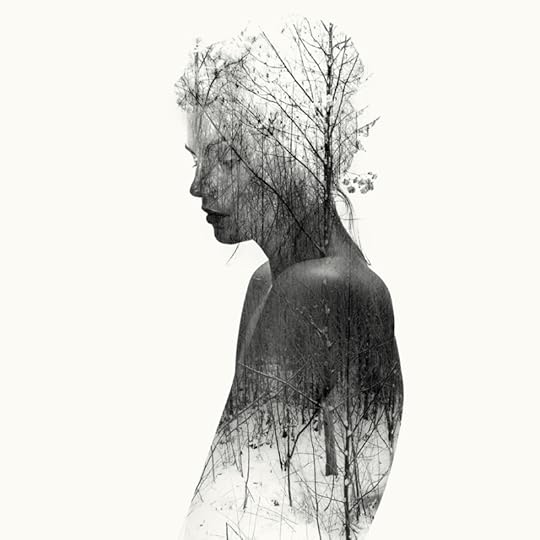 Nikita II by Laurence Winram