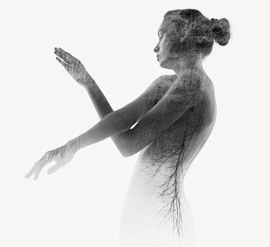 Charlotte 1 by Laurence Winram