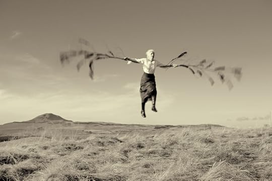 Hazel Flew by Laurence Winram