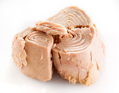tuna fish isolaten on white