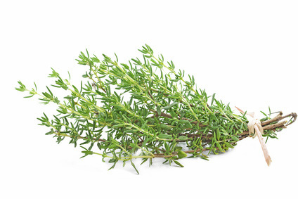 Frischer Thymian