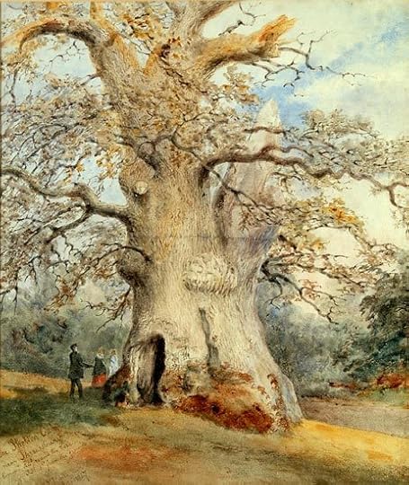 Description: Macintosh HD:Users:mkinnes:Desktop:Shelton_oak by david parkes early19th cent.jpg